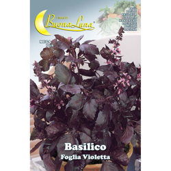 Hortus Sementi - SEMI ORTO BASILICO 'FOGLIA VIOLETTA' características