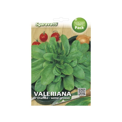 Busta Semi Orto Valeriana d'Olanda - Sgaravatti precio