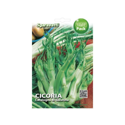 Busta Semi Orto Cicoria Catalogna di Galatina - Sgaravatti características