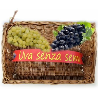 Fascioni uva senza semi 1 pacco 1000 pezzi per casse cassette