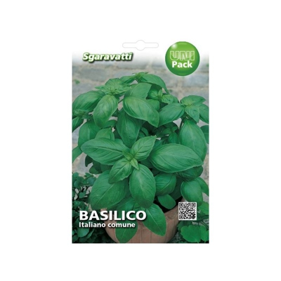 Busta Semi Orto Basilico Italiano Comune - Sgaravatti