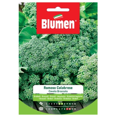 Blumen Cavolo Broccolo Ramoso Calabrese