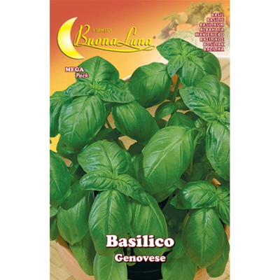 Hortus Sementi - SEMI ORTO BASILICO GENOVESE