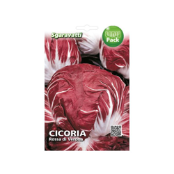 Busta Semi Orto Cicoria Rossa di Verona - Sgaravatti características