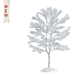 Black Walnut Tree precio