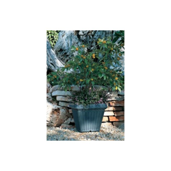 Quadro Toscano in resina cm. 35 ANTRACITE en oferta