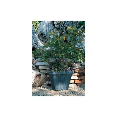 Quadro Toscano in resina cm. 35 ANTRACITE