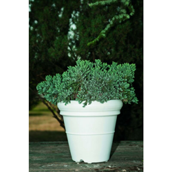 Vaso resina Doppio Bordo Liscio cm. 100 Bianco en oferta