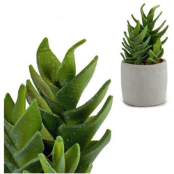 Ibergarden - Cactus Plastica Cactus (10,5 x 21 x 10,5 cm) en oferta