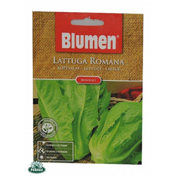 Blumen Lattuga Romana características