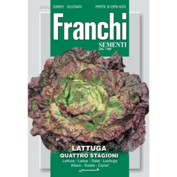 Semi ortofrutta 'Lattuga quattro stagioni' 3 pz. en oferta