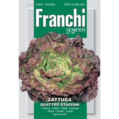 Semi ortofrutta 'Lattuga quattro stagioni' 3 pz.
