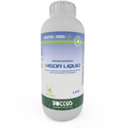 Concime fertilizzante biostimolante fertilità VIGOR LIQUID Bottos 1 lt prato en oferta