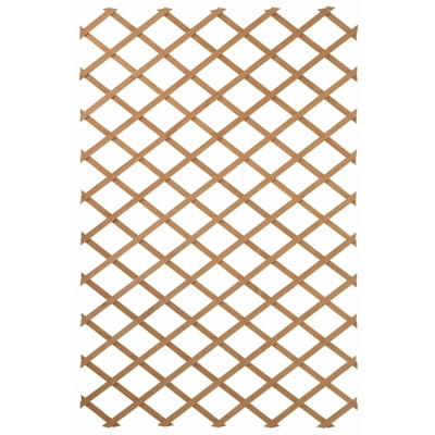 Pergolato da Giardino 100x200 cm Legno Naturale 6041703 - Marrone - Nature