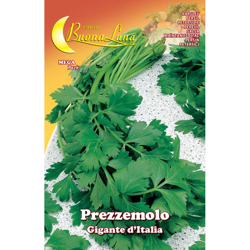 Hortus Sementi - SEMI ORTO PREZZEMOLO GIGANTE características