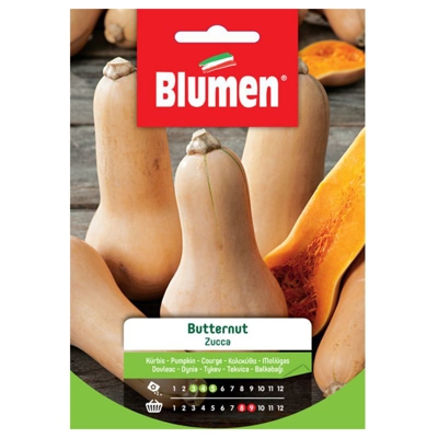 Blumen Zucca Butternut.