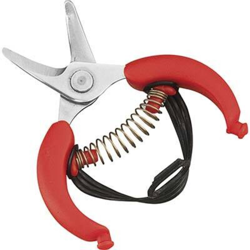 FORBICI COGLIAGRUMI cm 10 precio