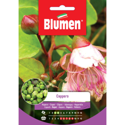 Blumen Cappero en oferta
