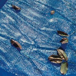 GRÉ - Telo di copertura per piscine ovali 500 x 350 cm en oferta