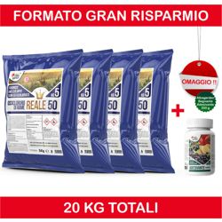 Ossicloruro di rame REALE 50% X 20 kg características