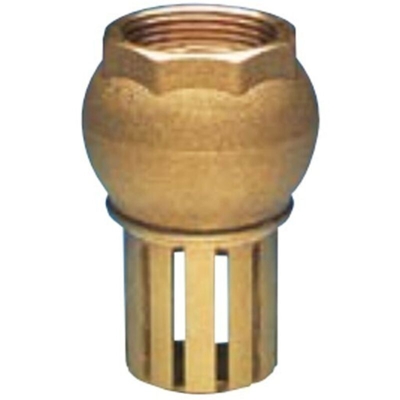 Valvola di fondo con succheruola taglia 1-1/4 H0041S07 - Enolgas