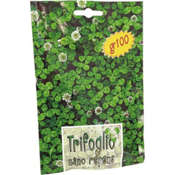 Seme Trifoglio Repens Nano 100 Gr - Bottos en oferta
