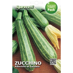 Busta Semi Orto Zucchino Alberello Sarzana - Sgaravatti en oferta
