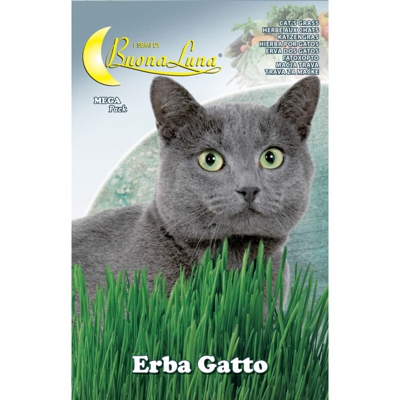 Hortus Sementi - SEMI ORTO ERBA GATTO
