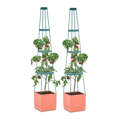 Tomato Tower 2 Set di Vasi Supporti Piante Rampicanti Pomodori 25x150x25 cm PP