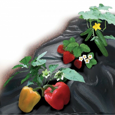 Bache Erbacce Anti-1.5X25M Ex 50G / M2, Nero, Sb, Uv +