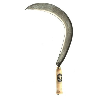 Angelo B. Falciola Roma con Costa Angelo B 2/3 Made in Italy