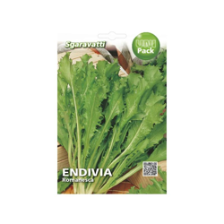 Busta Semi Orto Endivia Romanesca - Sgaravatti precio