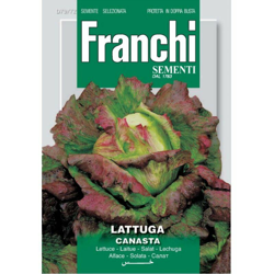 Semi ortofrutta 'Lattuga canasta' 3 pz. en oferta