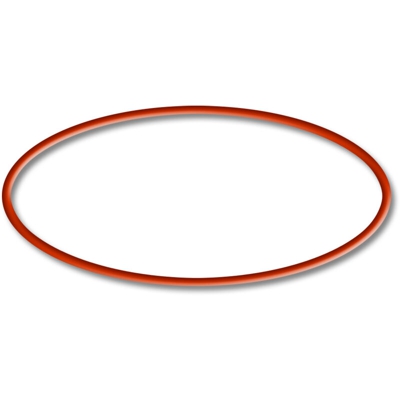 Pezzo di ricambio: O-ring per filtro esterno per acquari HW-603B - Sunsun