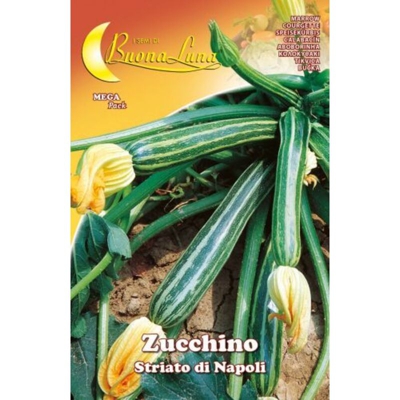 Hortus Sementi - SEMI ORTO ZUCCHINO STRIATO NAPOLI