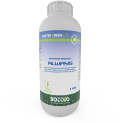 Bottos - Concime Azotato Riattivatore Metabolico prato piante Always 1 Kg BIO características