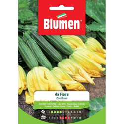 Blumen Zucchino Da Fiore en oferta