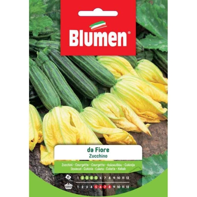 Blumen Zucchino Da Fiore