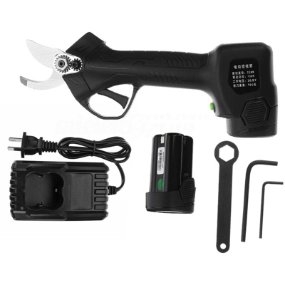Potatore elettrico a batteria ricaricabile 150 W Potatore potatore (con batteria)