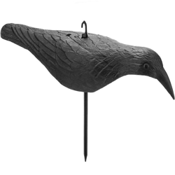 Statua spaventapasseri de corvo nel moto per il giardino - Primematik características