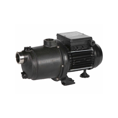 Sta-rite - Booster mono da 1,5 CV - boost15m - sta rite