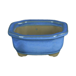 Vaso per bonsai Giapponese Morrisan ovale in gres smaltato azzurro 10,5x9x4,5 cm - B03-3-6A en oferta