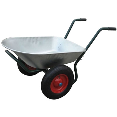 YOUTHUP Carriola da Giardino con 2 Ruote 66 L - Argento