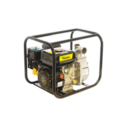 Motopompa Papillon 'Wp 50' 4T 196Cc. 5,5Hp en oferta