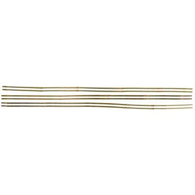 Tutori in bambú sfusi 150 / diametro 22 24 - Stocker
