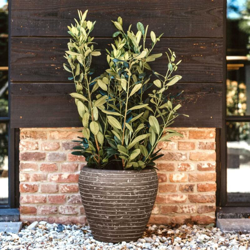 Vaso Nature Row Rotondo Affusolato 42x38 cm Verde Oliva - Verde - Capi precio