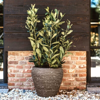 Vaso Nature Row Rotondo Affusolato 42x38 cm Verde Oliva - Verde - Capi