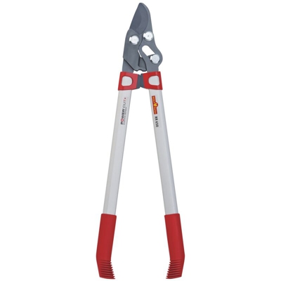 Interruzione di corrente pappagallo come lopper RR 650 - Wolf-garten