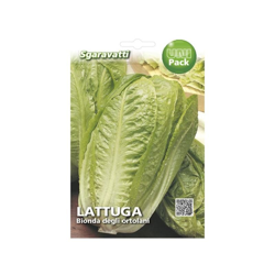 Busta Semi Orto Lattuga Bionda degli Ortolani - Sgaravatti precio