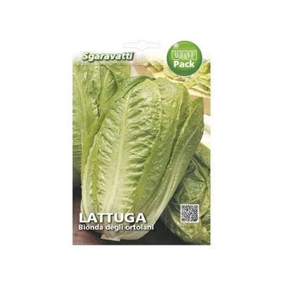 Busta Semi Orto Lattuga Bionda degli Ortolani - Sgaravatti